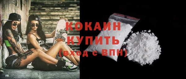 твердый Арсеньев