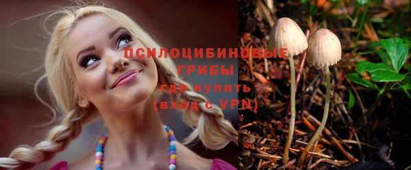 apvp Володарск